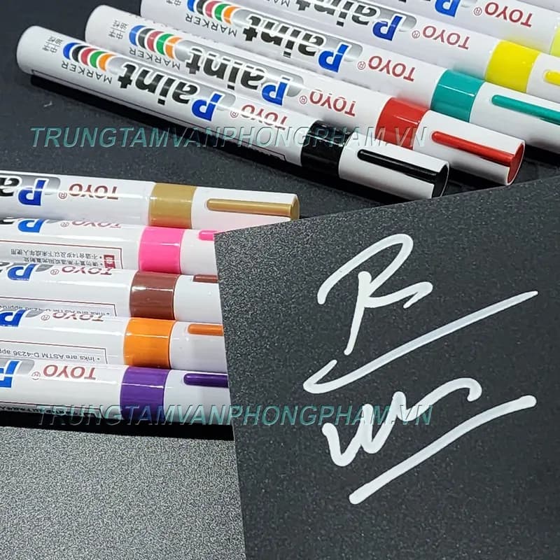 Hộp 12 cây bút sơn Toyo SA101